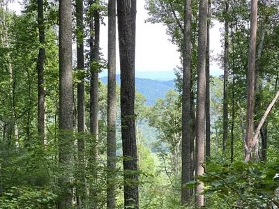 Lot 1 High Country Lane Morganton, GA 30560