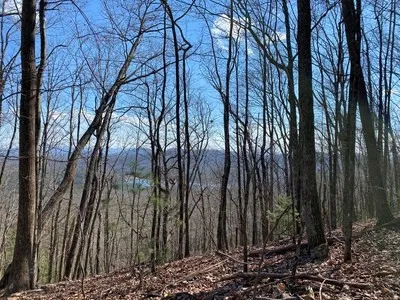 Lot 1 High Country Lane Morganton, GA 30560