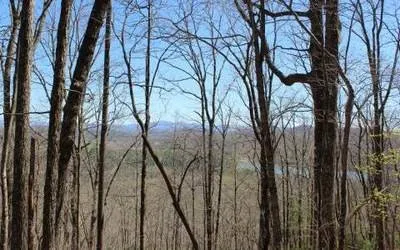 Lot 1 High Country Lane Morganton, GA 30560