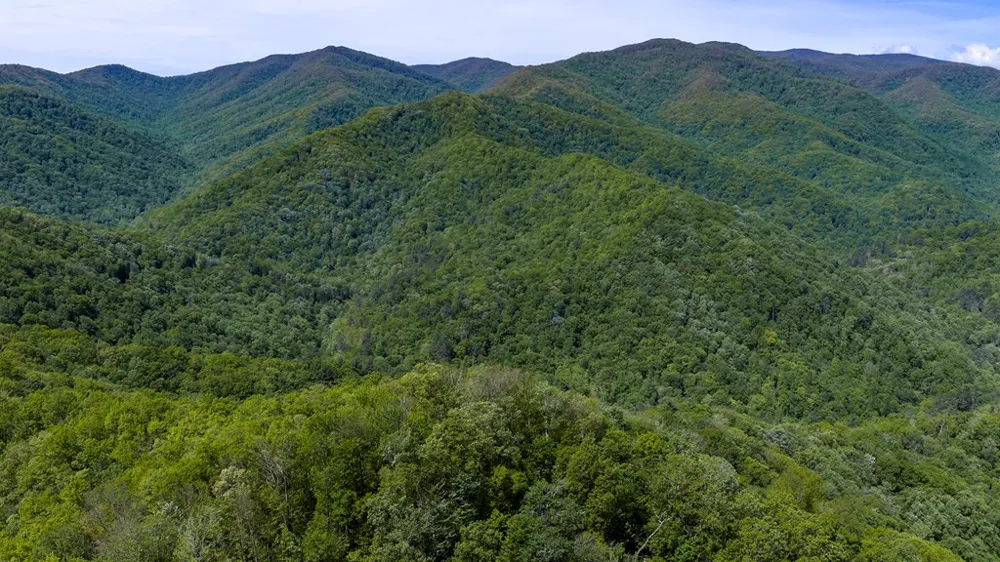 4700 W Buffalo Road Robbinsville, NC 28771