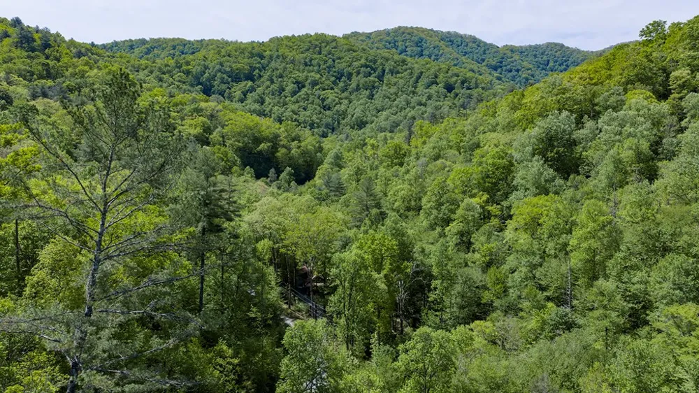 4700 W Buffalo Road Robbinsville, NC 28771