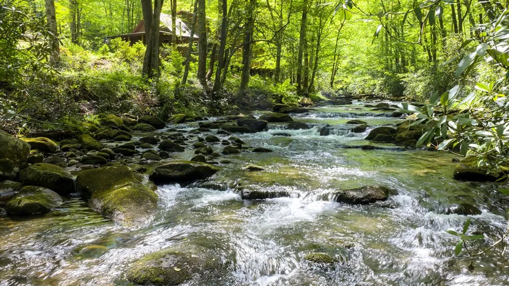 4700 W Buffalo Road Robbinsville, NC 28771