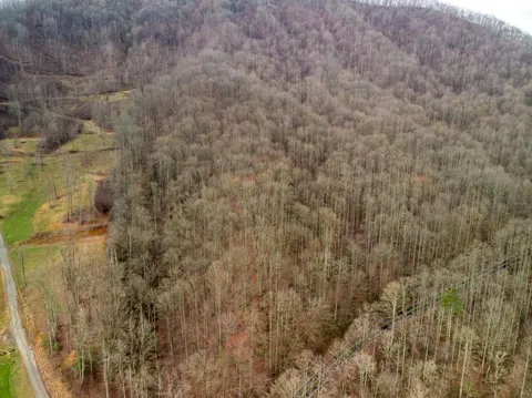 00 Upper Tuskeegee Road