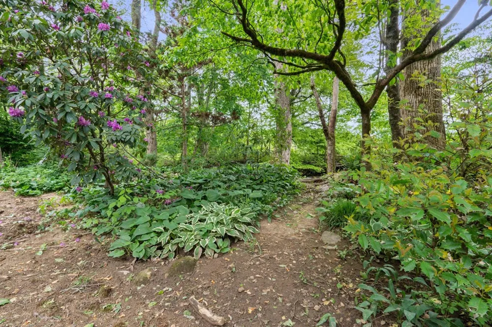 59 Tusquittee Creek Lane Hayesville, NC 28904