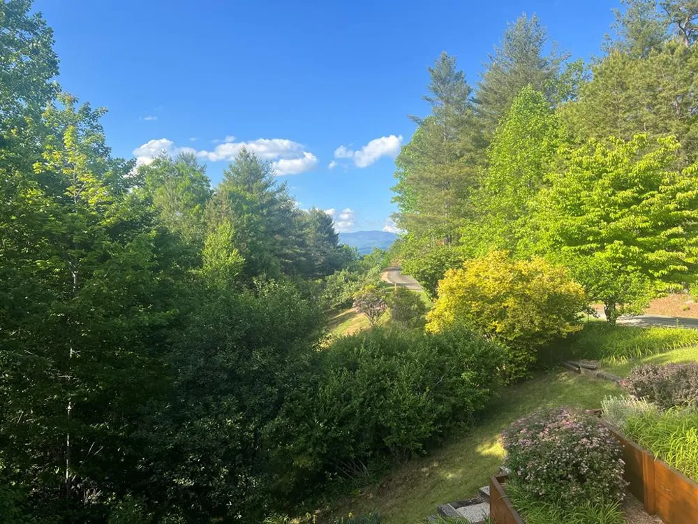 750 Double Springs Drive Almond, NC 28702
