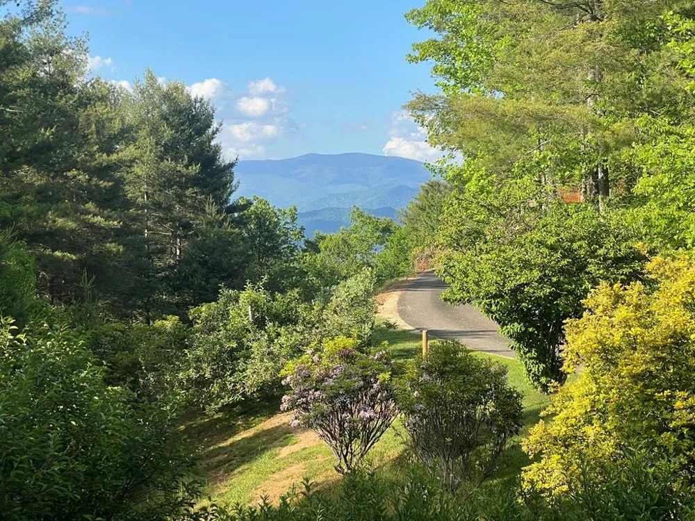 750 Double Springs Drive Almond, NC 28702