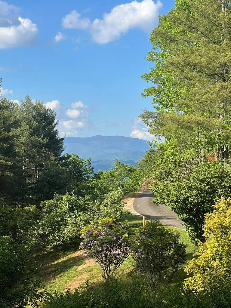 750 Double Springs Drive Almond, NC 28702