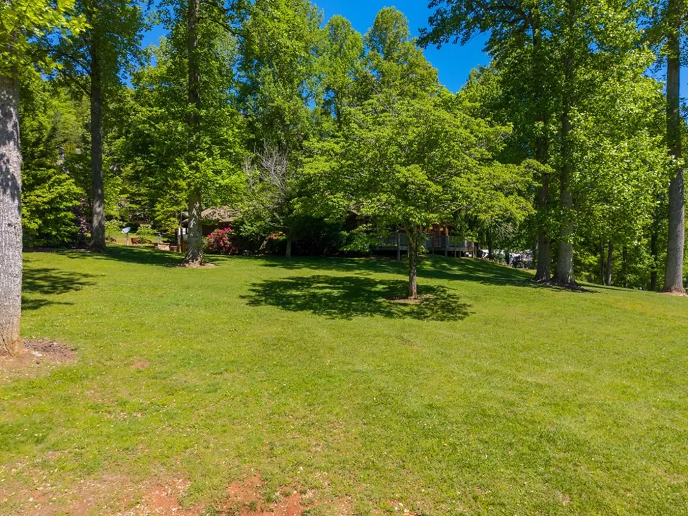 34 Shane Laughter Robbinsville, NC 28771