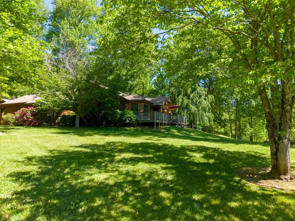 34 Shane Laughter Robbinsville, NC 28771