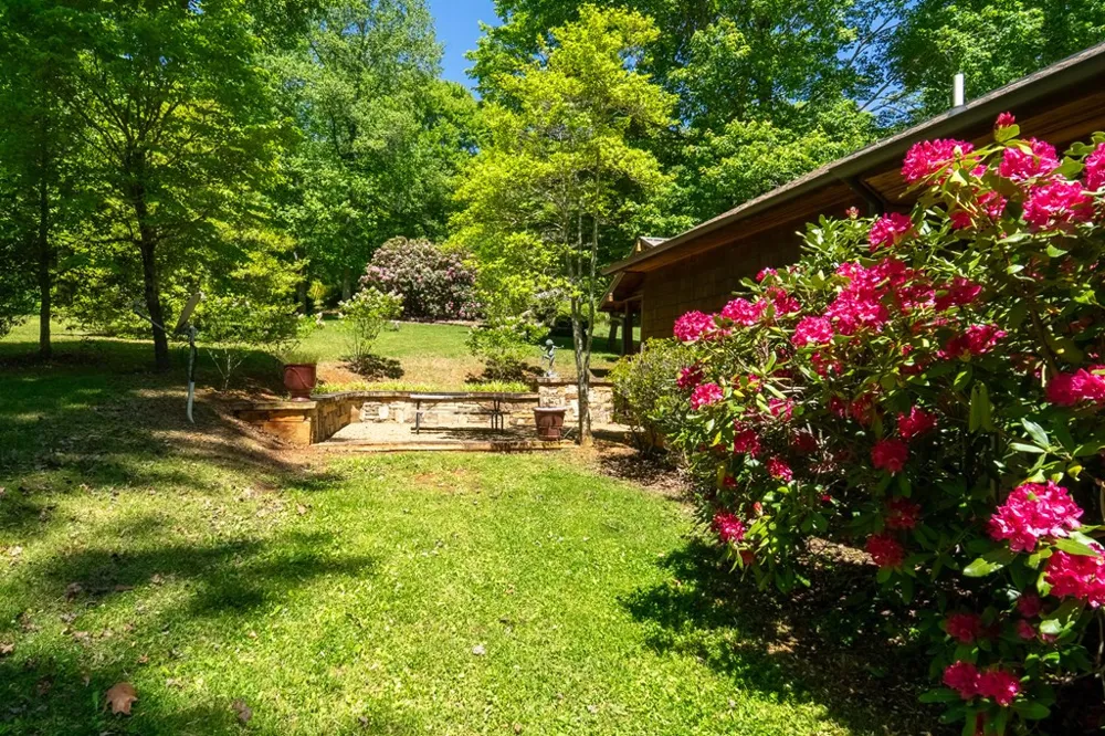 34 Shane Laughter Robbinsville, NC 28771