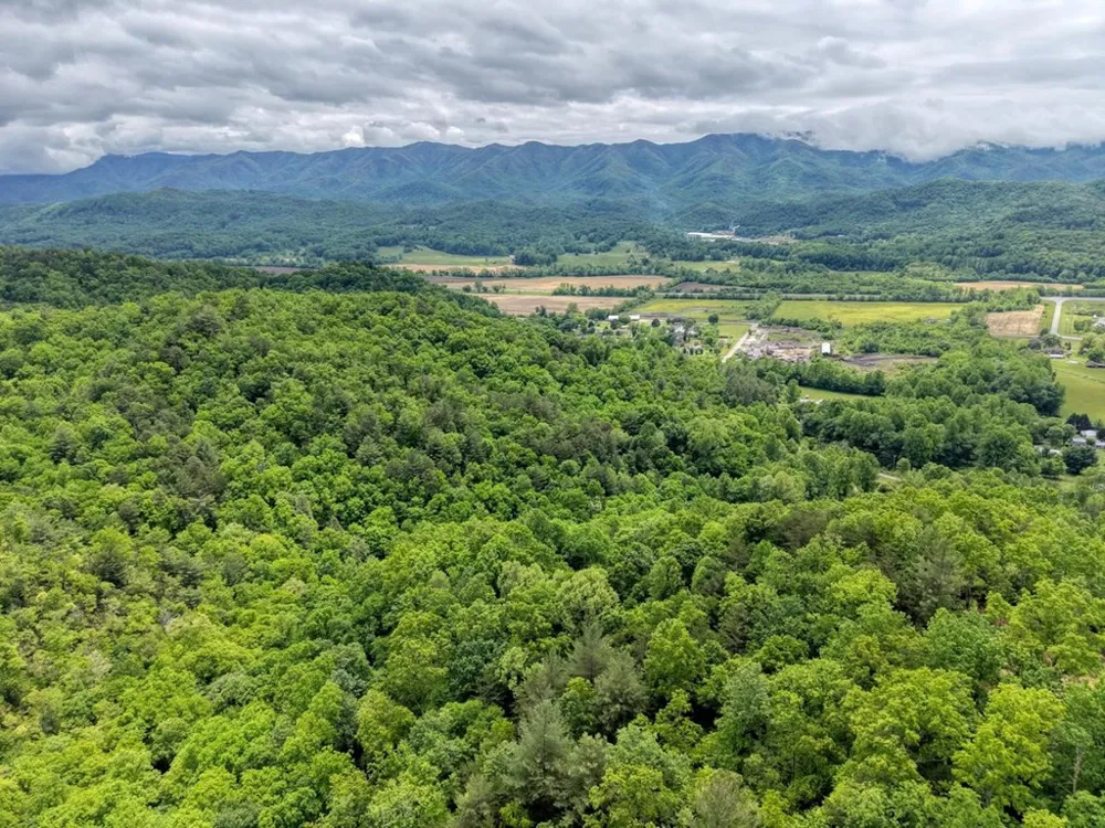 477 Little Snowbird Trail Marble, NC 28905