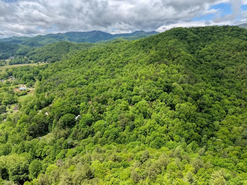 477 Little Snowbird Trail Marble, NC 28905