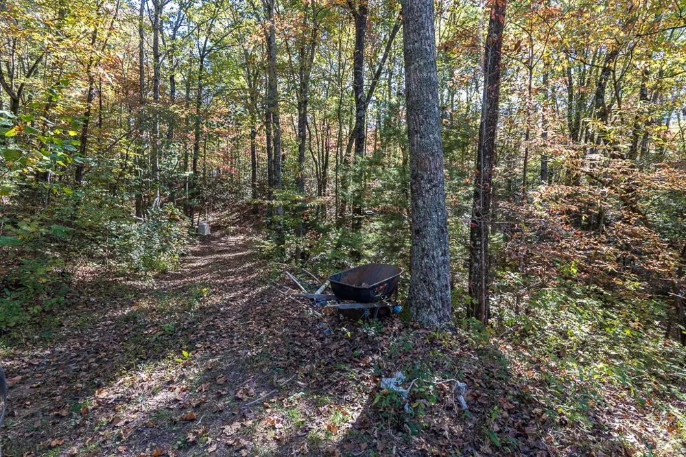 294 Sunnyside Lane Marble, NC 28905