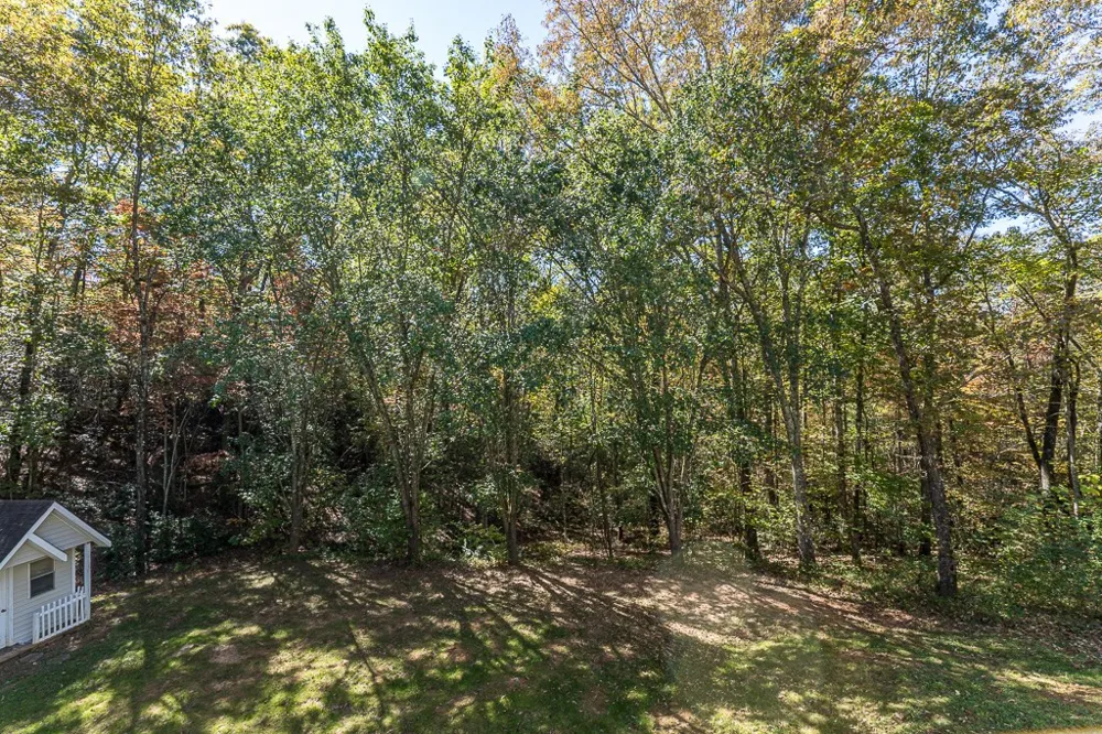 294 Sunnyside Lane Marble, NC 28905