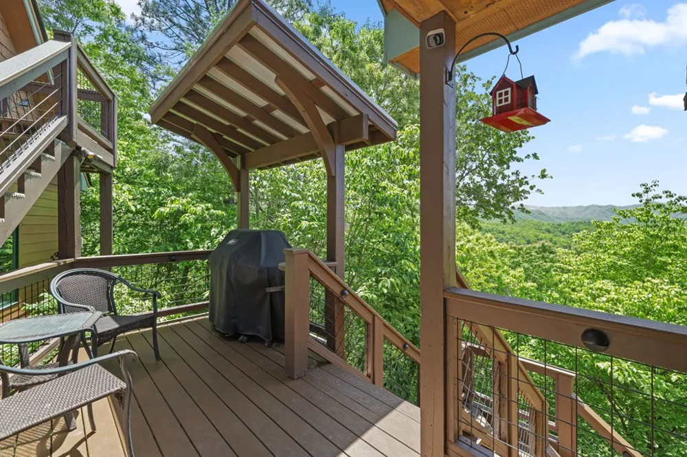 167 Wild Orchid Trail Bryson City, NC 28713