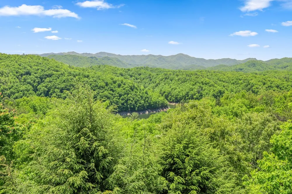167 Wild Orchid Trail Bryson City, NC 28713