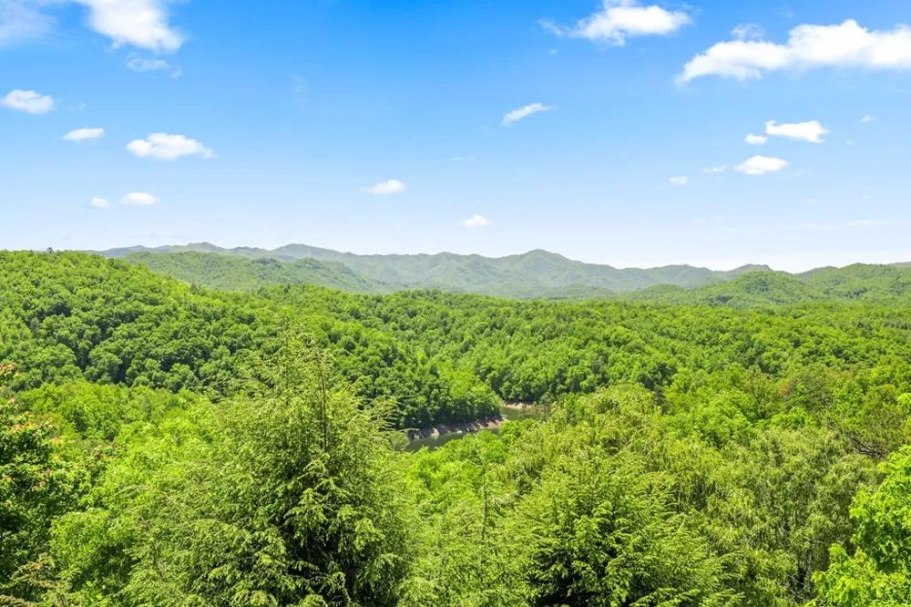 167 Wild Orchid Trail Bryson City, NC 28713