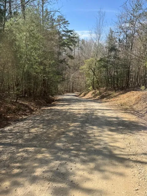 00 Blue Ridge Heights