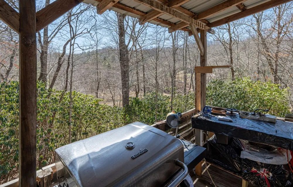 20 And 24 Alpine Shores Lane #20 & 24 Topton, NC 28781