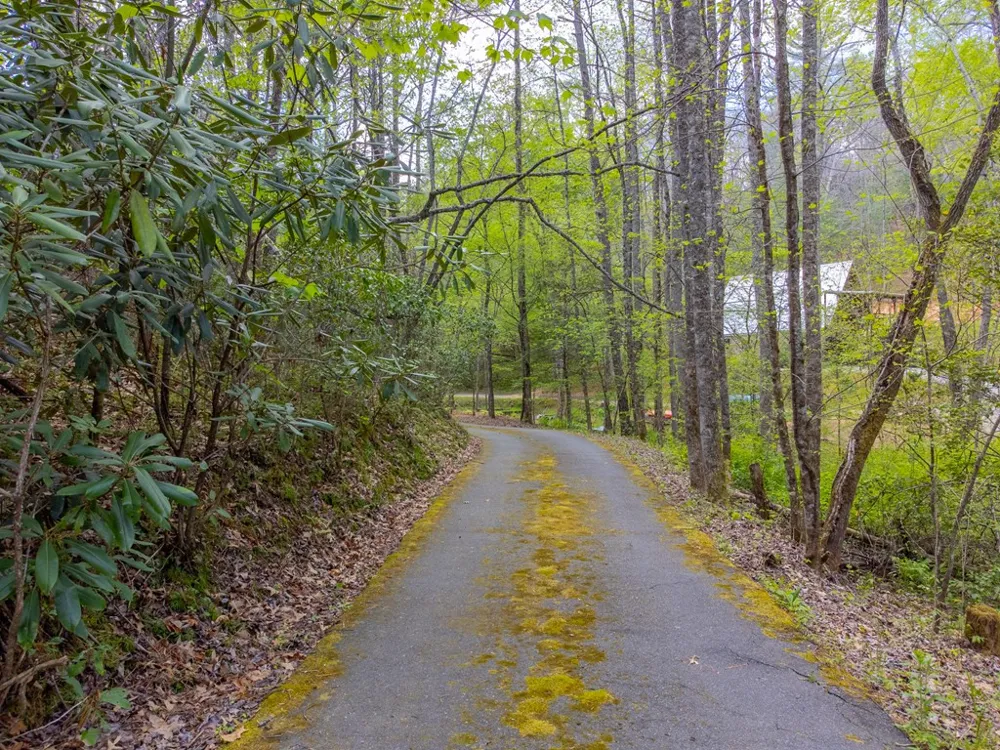 138 Hubbell Lane Robbinsville, NC 28771
