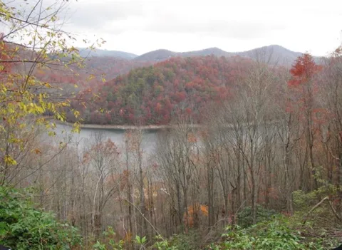 Lot# 10 Viewforth Place