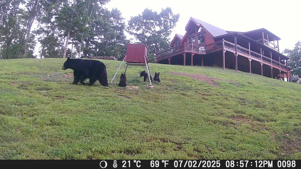 4760 Anderson Road Hiawassee, GA 30546