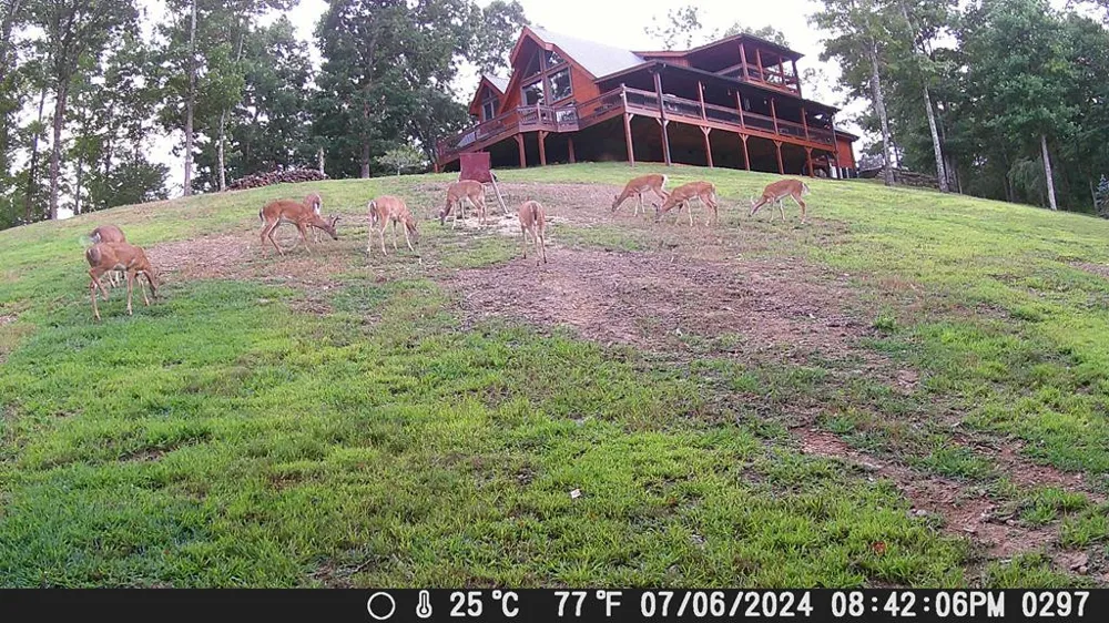 4760 Anderson Road Hiawassee, GA 30546