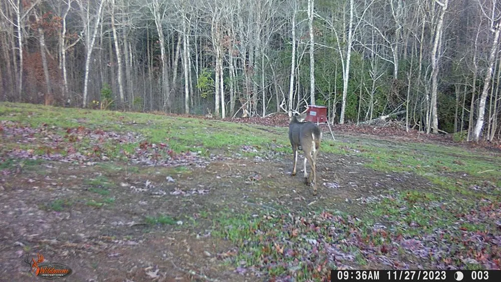 4760 Anderson Road Hiawassee, GA 30546