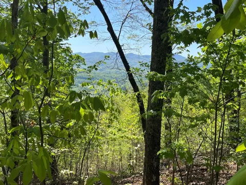 Lot 11j Ash Branch View