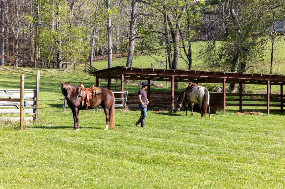 853 Caler Road Brasstown, NC 28902