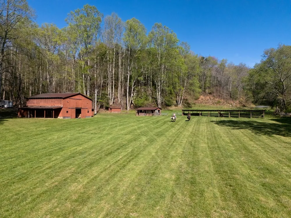 853 Caler Road Brasstown, NC 28902