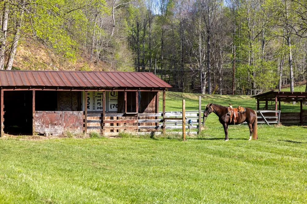 853 Caler Road Brasstown, NC 28902