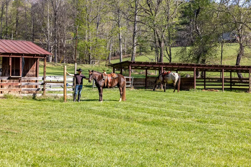 853 Caler Road Brasstown, NC 28902