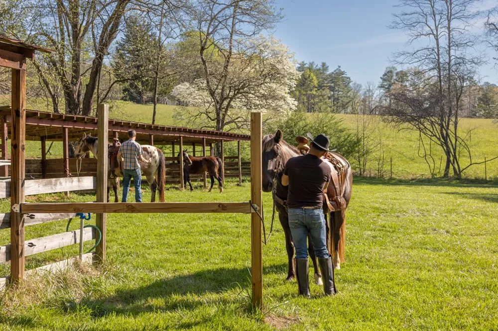 853 Caler Road Brasstown, NC 28902
