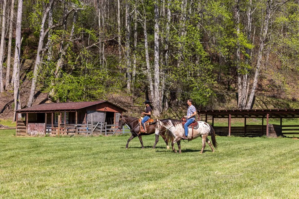 853 Caler Road Brasstown, NC 28902