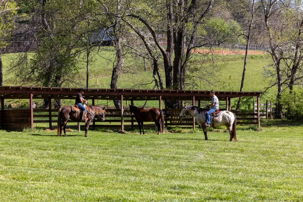853 Caler Road Brasstown, NC 28902