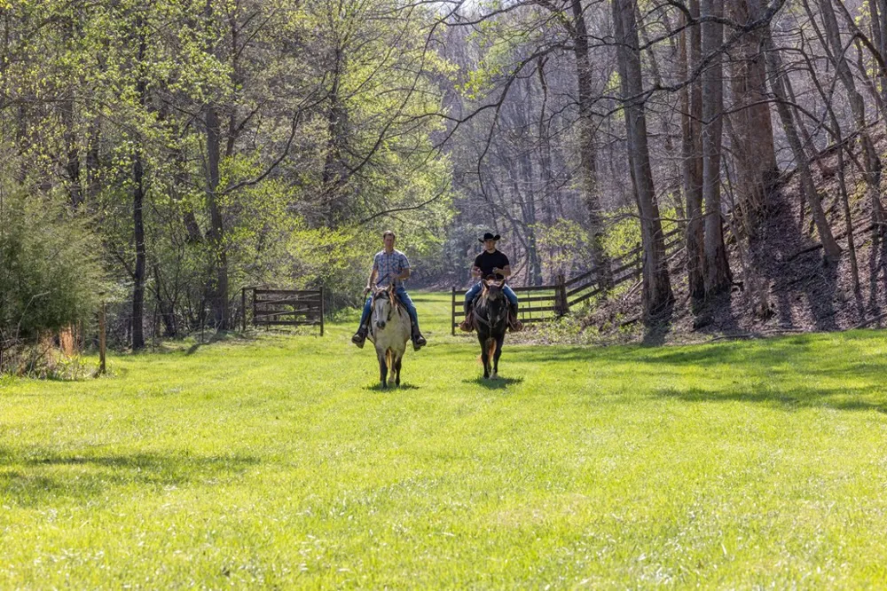 853 Caler Road Brasstown, NC 28902