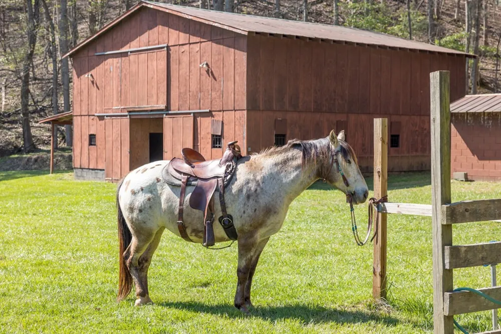 853 Caler Road Brasstown, NC 28902