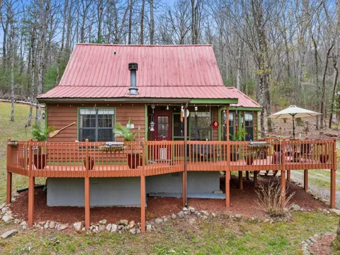 541 Black Ankle Creek Road