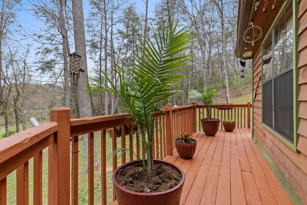 541 Black Ankle Creek Road Cherry Log, GA 30522
