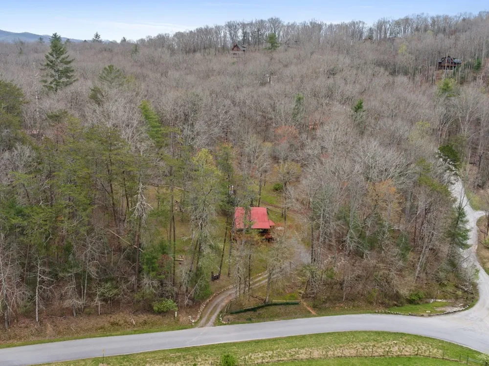 541 Black Ankle Creek Road Cherry Log, GA 30522