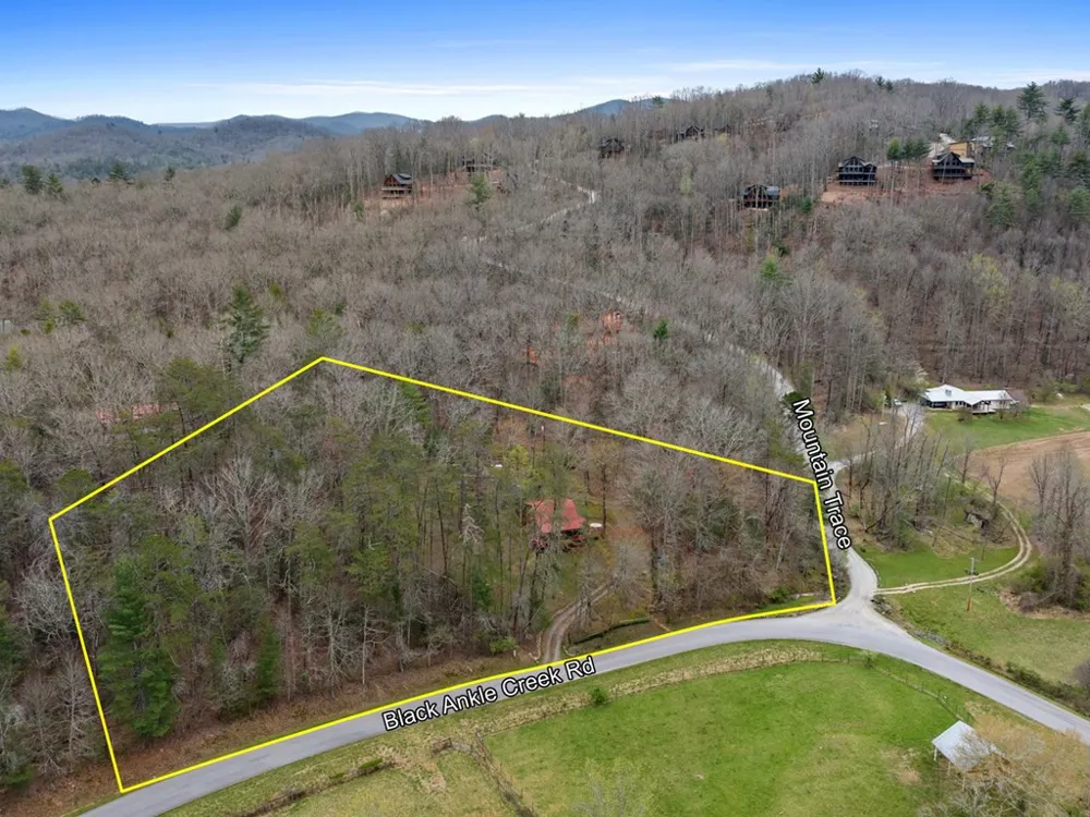 541 Black Ankle Creek Road Cherry Log, GA 30522