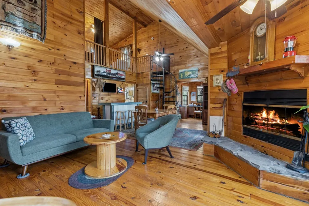 541 Black Ankle Creek Road Cherry Log, GA 30522