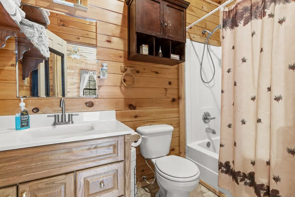 541 Black Ankle Creek Road Cherry Log, GA 30522