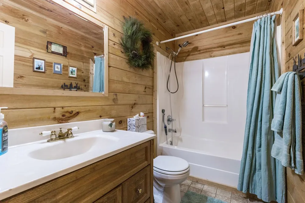 541 Black Ankle Creek Road Cherry Log, GA 30522