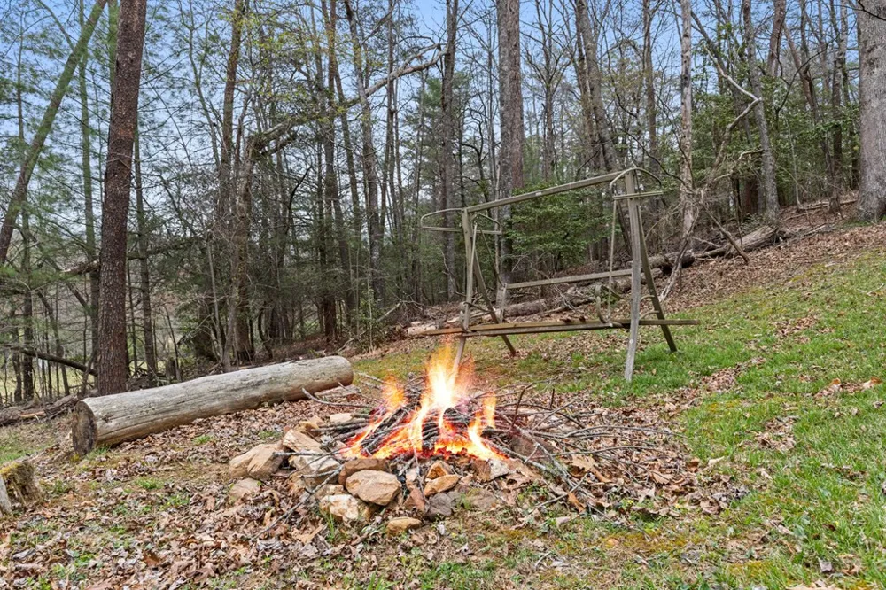 541 Black Ankle Creek Road Cherry Log, GA 30522