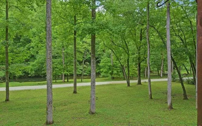 192 Nantahala Dam Road Nantahala, NC 28781