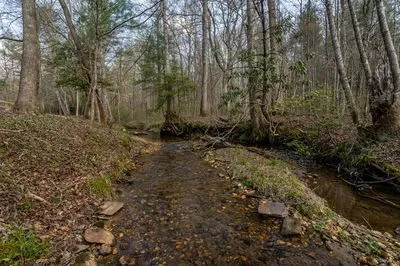 1132 Hells Hollow Road Blue Ridge, GA 30513