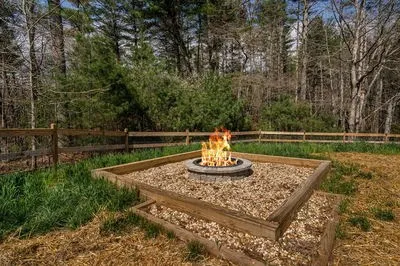 1132 Hells Hollow Road Blue Ridge, GA 30513