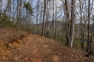 1132 Hells Hollow Road Blue Ridge, GA 30513